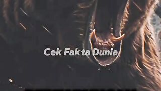 Pertarungan binatang buas