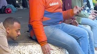 Watch and laugh for 3 minutes