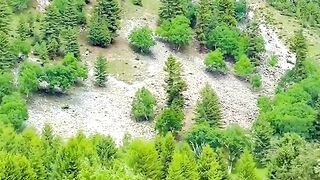 1910,status,status video,status song,status whatsap,beast song,good song,video,natural