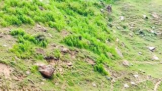 status,status video,status song,status whatsap,beast song,good song,video,natural