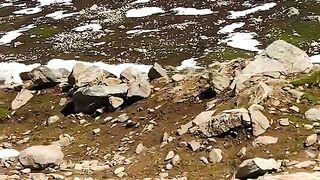 status,status video,status song,status whatsap,beast song,good song,video,natural