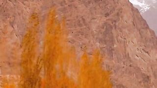 status,status video,status song,status whatsap,beast song,good song,video,natural