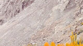 status,status video,status song,status whatsap,beast song,good song,video,natural