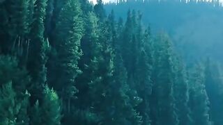 status,status video,status song,status whatsap,beast song,good song,video,natural
