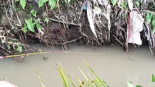 Little fish 2