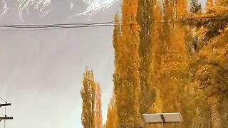 2120,status,status video,status song,status whatsap,beast song,good song,video,natural