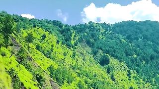 status,status video,status song,status whatsap,beast song,good song,video,natural