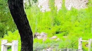 status,status video,status song,status whatsap,beast song,good song,video,natural