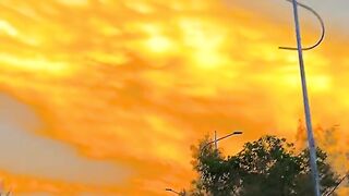 2150,status,status video,status song,status whatsap,beast song,good song,video,natural