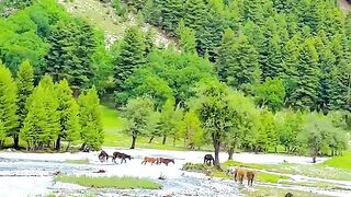 status,status video,status song,status whatsap,beast song,good song,video,natural