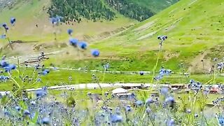 2160,status,status video,status song,status whatsap,beast song,good song,video,natural
