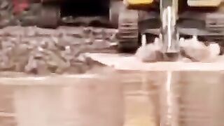 funny moments  with workers