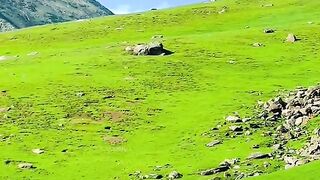 status,status video,status song,status whatsap,beast song,good song,video,natural