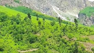 status,status video,status song,status whatsap,beast song,good song,video,natural