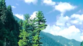 status,status video,status song,status whatsap,beast song,good song,video,natural