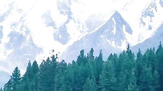 status,status video,status song,status whatsap,beast song,good song,video,natural