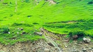 status,status video,status song,status whatsap,beast song,good song,video,natural