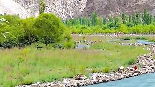 status,status video,status song,status whatsap,beast song,good song,video,natural