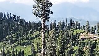 status,status video,status song,status whatsap,beast song,good song,video,natural