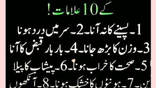 شرعی مسائل اور ان کا حل 251