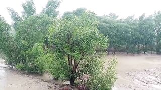 Beautiful Raining Weather | Weather in Sindh
