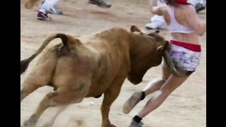 Funny bull fails) part 2
