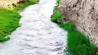 Panjwayi district kandahar Afghanistan