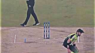 Cricket