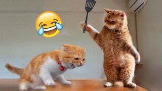 You laugh, You lose ???? Funniest Animals ???? Part 01