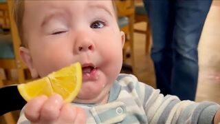 Funniest  Babies reaction to tasting lemon for the first time ????????????????