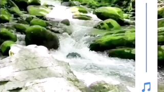 SUBHAN ALLAH