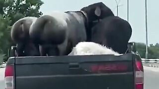 funny compilation