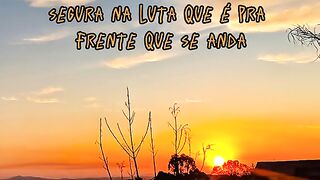 Motivaçaodiaria