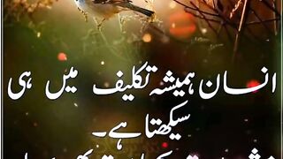 Nice and good