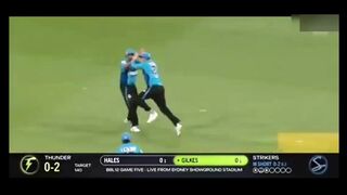 Cricket crazy