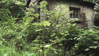 Beautiful Jungle  2023