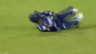 Nice catches in cricket history