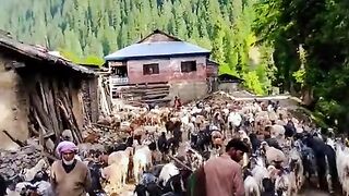 status,status video,status song,status whatsap,beast song,good song,video,natural