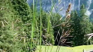 status,status video,status song,status whatsap,beast song,good song,video,natural