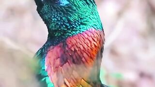 status,status video,status song,status whatsap,beast song,good song,video,natural