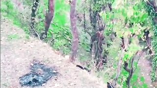 status,status video,status song,status whatsap,beast song,good song,video,natural