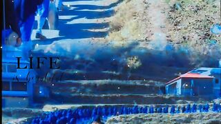 status,status video,status song,status whatsap,beast song,good song,video,natural