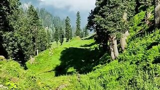 status,status video,status song,status whatsap,beast song,good song,video,natural