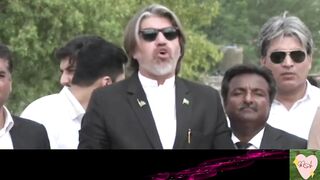 Imran Khans Decison  PTI Historic Jalsa  Ali muhammad khan Breaks - News