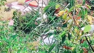 status,status video,status song,status whatsap,beast song,good song,video,natural