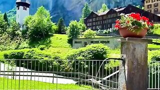 2310,status,status video,status song,status whatsap,beast song,good song,video,natural