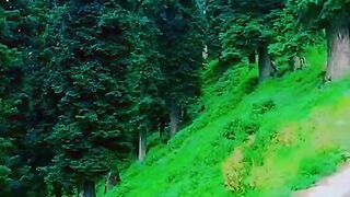 status,status video,status song,status whatsap,beast song,good song,video,natural