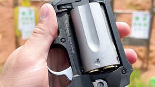 Taurus public defender