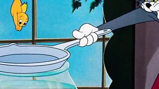 Tom and jerry video