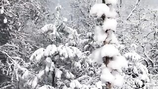 status,status video,status song,status whatsap,beast song,good song,video,natural